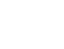 Emirates Logo