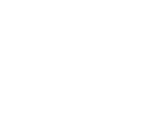 Etihad Logo